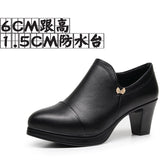Breakj Coarse Waterproof Table Deep Mouth Single Shoes Women's Spring And Autumn Dress Work Shoes Side Zipper Fashion Singles High