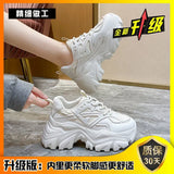 Breakj Street Old Dad Shoes Women's Winter 2025 New Ins Thick Bottoms To Increase Small Sports