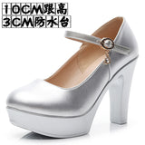 Breakj Head Buckle Waterproof Table 8CM High Heel Women's Shoes Thick-Soled Model Show Shoes Coarse Heel Work Shoes Silver Single