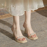 Open-Toe High Heels Single Shoes French Thick Heel Niche Open Sandals Transparent Outside Wear Beautiful High