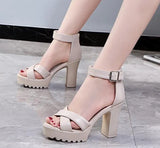 Summer Sandal Shoes for Women 2021 New Arrival Sexy Peep Toe Thick Heels Sandals Platform Casual Russian Shoes Women