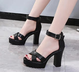 Summer Sandal Shoes for Women 2021 New Arrival Sexy Peep Toe Thick Heels Sandals Platform Casual Russian Shoes Women