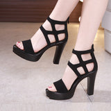 Sandals Women's 2023 Summer High Heels Open-Toed Thick Heels Waterproof Platform Large Size 41-43 Catwalk Catwalk