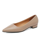 Breakj Pointed Light-Mouthed Square Heel Small Leather Shoes Women Business And Leisure Elegant Commute Single Shoes Fashion High Heels Women Four