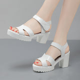 Breakj Leather High Heel Waterproof Sandals Women Fashion Crocodile Pattern Walking Shoes Summer Coarse Heel Magic Sticky H Women's