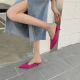 Half Slippers Female Summer New Style 2023 Thin Heel Pointed Lazy People Wear Low Heel Set Foot Muller Shoes Cool Drag