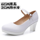Breakj Head Buckle Waterproof Table 8CM High Heel Women's Shoes Thick-Soled Model Show Shoes Coarse Heel Work Shoes Silver Single