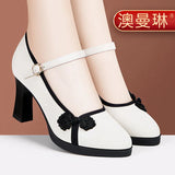 New Chinese Cheongsam Walking Shoes Retro Single Shoes High Thick Heels With Chinese Style Horse Dress Shoes