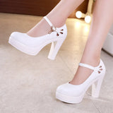 Model Cheongsam T Taiwan Waterproof Platform High Heels Thick Heels Large-Size Professional Work Shoes Show Single Shoe