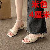 Breakj Evening Wind Coarse And Cool Slippers Women Wear High-End Feeling 2025 New Fairy Style Strap Sandals