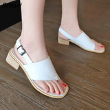 thick heel sandals women's clip toe buckle fashion women's sandals solid color versatile women's
