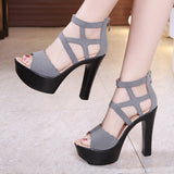 Sandals Women's 2023 Summer High Heels Open-Toed Thick Heels Waterproof Platform Large Size 41-43 Catwalk Catwalk