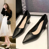Breakj High Heels Women 2024 Spring And Autumn New Korean Version Fashion Shallow Thick Heel A High Heel Single
