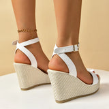Heels Platform Sandals Women 2024 Summer Retro Ankle Buckle Gladiator Sandles Woman Plus Size 43 High Heeled Beach