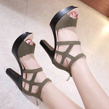 Sandals Women's 2023 Summer High Heels Open-Toed Thick Heels Waterproof Platform Large Size 41-43 Catwalk Catwalk