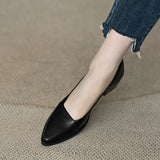 Breakj Single-Shoe Women 2025 New Thick-Heeled French Light Mouth Heeled Women's High
