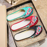 Breakj Summer Color Embroidery Leisure Walk Embroidered Cloth Shoes Women's Cloth