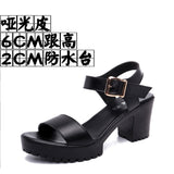 Breakj And Thick Waterproof Table Sandals Women High Heel With Heel Toe Model Show Shoes Buckle With Fish Mouth Sandals Shoes