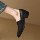 Heel Single Shoes Female 2024 New Pointed Deep Mouth French Small Fragrant Wind Thick With Temperament Pure Color Small Leather Shoes