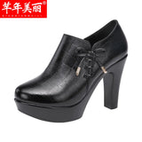 Head, Thick Heels, Deep Mouth Single Shoes Women 2023 Autumn And Winter Thick-Soled Waterproof Platform Plush Thickened Models Catwalk High Heels