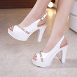 High-Heeled Sandals Summer 2023 Thick Heels Hollowed-Out Korean Version Muffin Waterproof Table Thick-Soled Fish Mouth Shoes Large Size Women's