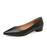 Breakj Pointed Light-Mouthed Square Heel Small Leather Shoes Women Business And Leisure Elegant Commute Single Shoes Fashion High Heels Women Four