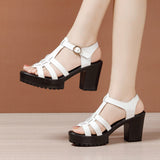 Summer New Thick-Soled Sandals, Women's Leather Waterproof Platform, High Heels, Thick Heels, Red Full-Size Fish Mouth